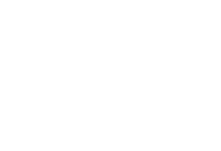 Zinzi-watches